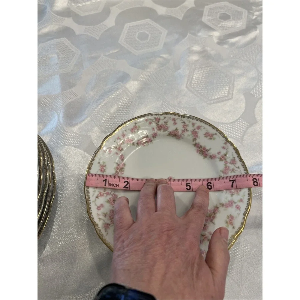 Bridal Rose Vintage‎ Original Lot of 18 Bavaria Schumann Plates Western Germany